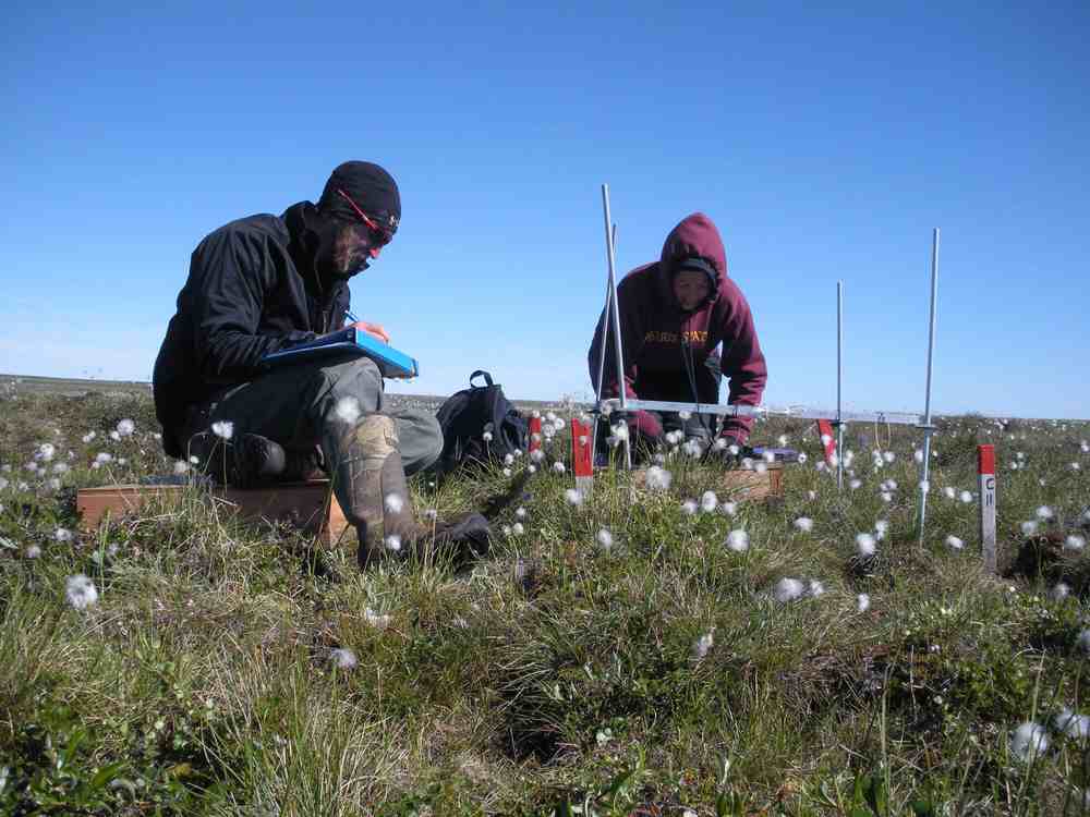 GVSU receives $1 million grant to study impact of climate change on Arctic vegetation